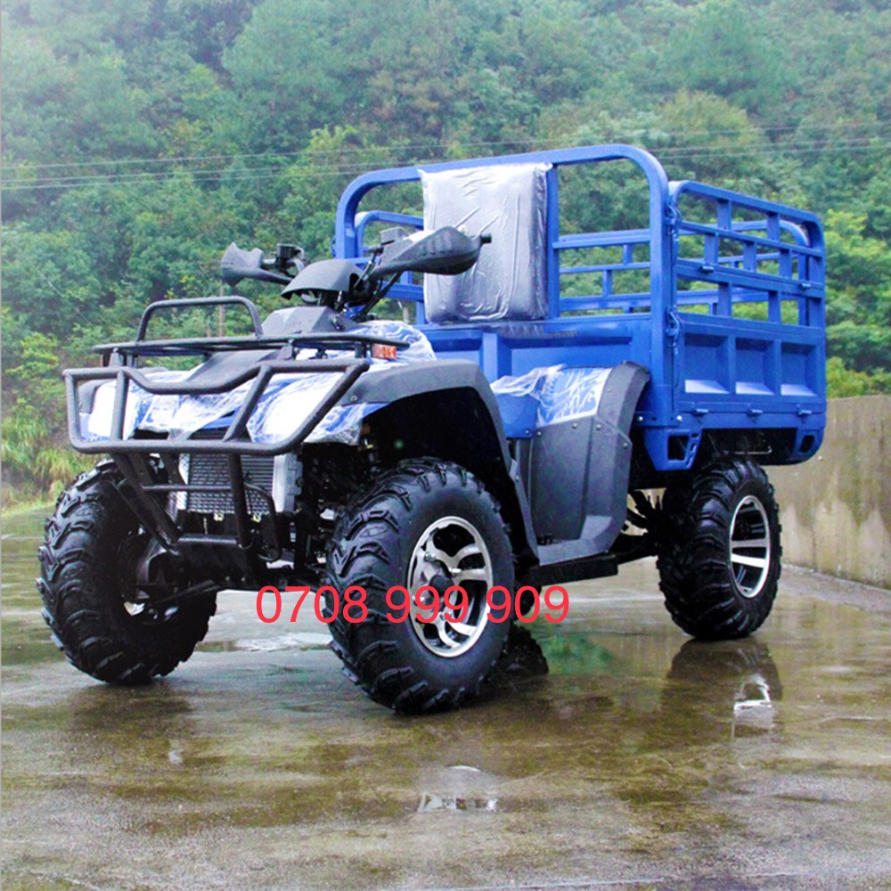ATV 300CC THÙNG 4X4 2 CẦU
